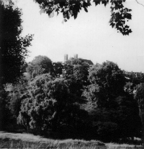 A glimpse of St. Mark's (tower tops only
are visible) looking across Plumstead Common
and the ravine. Photo: Colin Weightman See
stories Clean Lake, Dirty Lake, Our Lake
Districts and Baked Spuds and Tea Leaves